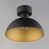 Antique Brass/Black selected