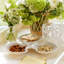 Shell 3-Bowl Dish