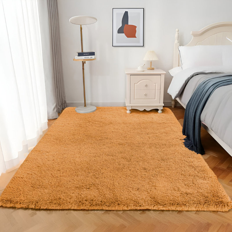 Deith Standard Shag Area Rug, Rectangle 120 x 170 cm