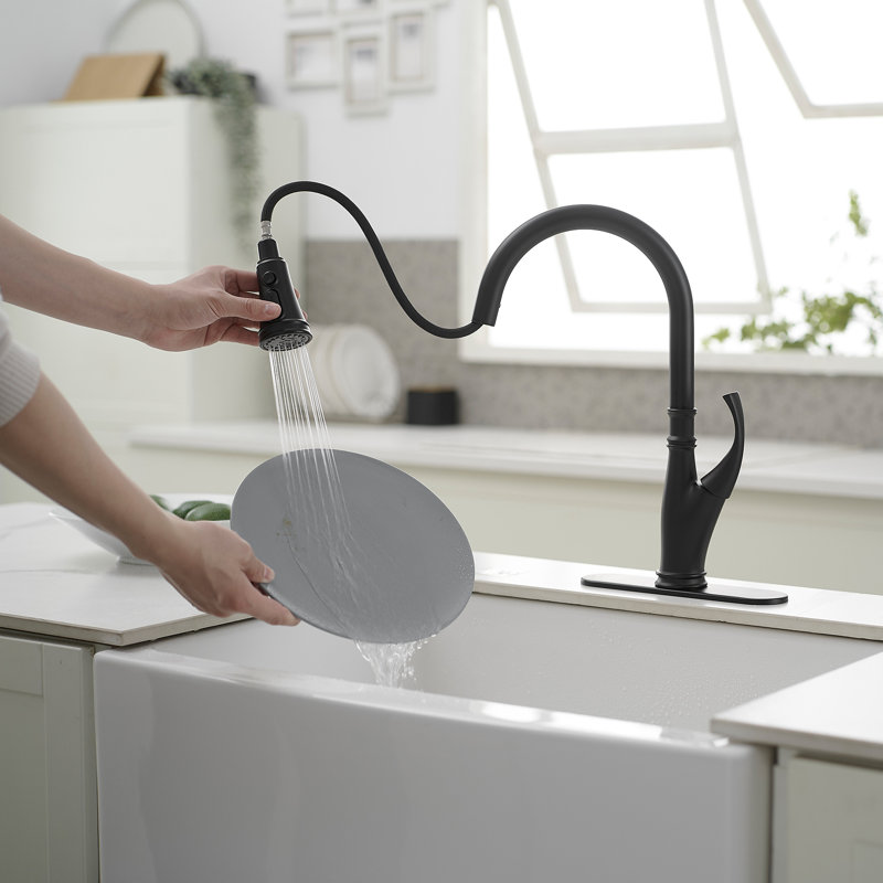 VIBRANTBATH Pull Down Kitchen Faucet