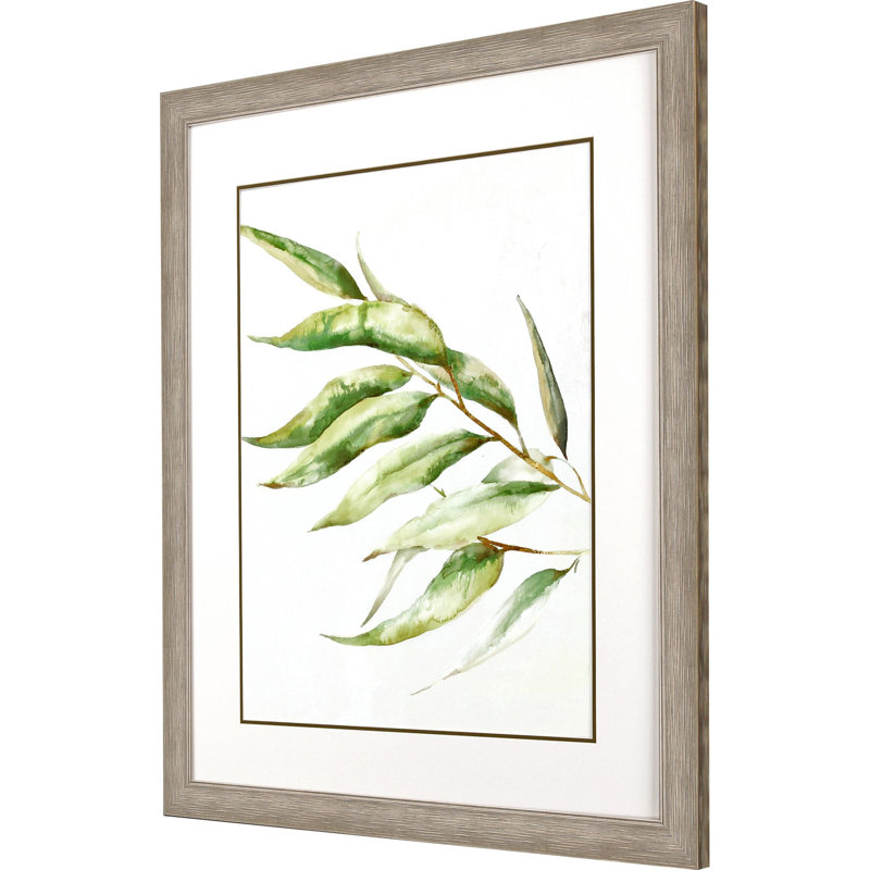 Willow Branch II