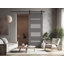 Panelled Glass Mirella Barn Door-99078181-98230981