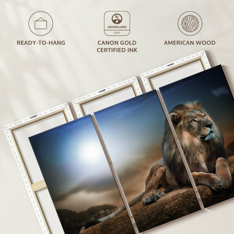 Roi lion sur toile, ensemble de 3 pièces, H 45 po x l 28 po x P 1,25 po
