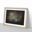 Peacock with Outstretched Feathers - Picture Frame Graphic Art Print-56861421-56861418