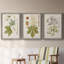 «Antique Leaves VII», ensemble de 3 peintures sur toile encadrées-1018014662-1018014667