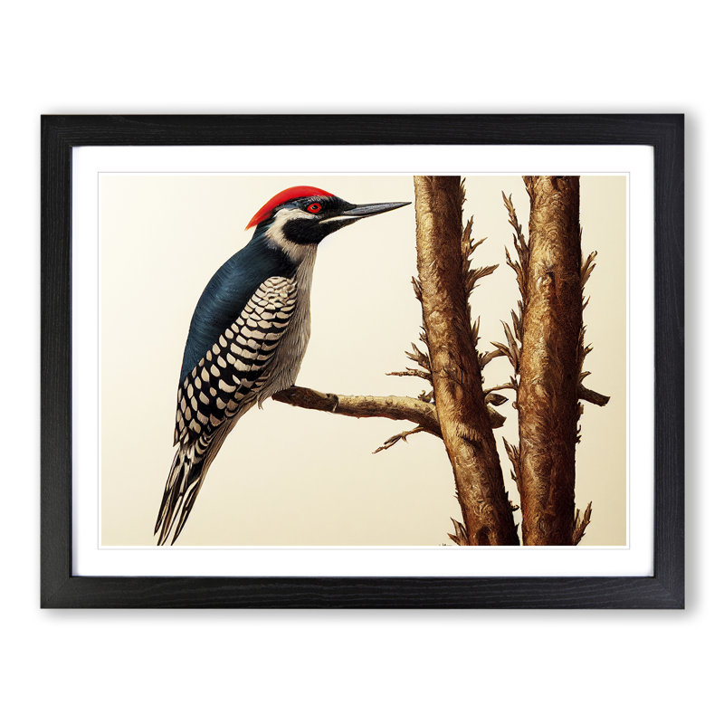 Vintage Woodpecker Bird Art Vol.2 - Framed Print, Black, 46cm H x 64cm W x 2cm D