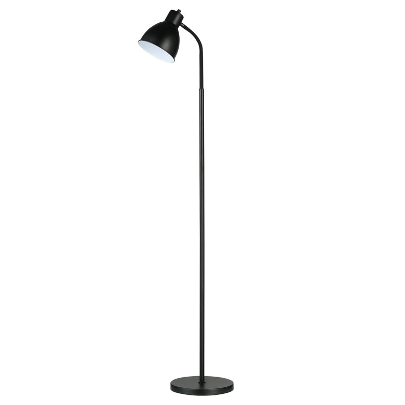 Cenedra 148cm Task Floor Lamp, Black