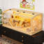 Hamster Cage-1579922592