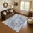 Premium Machine Washable Slesnick AMF1681 Abstract Rug-1333349194