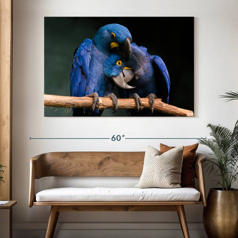 Hyacinth Blue Macaws, 34" H x 51" W