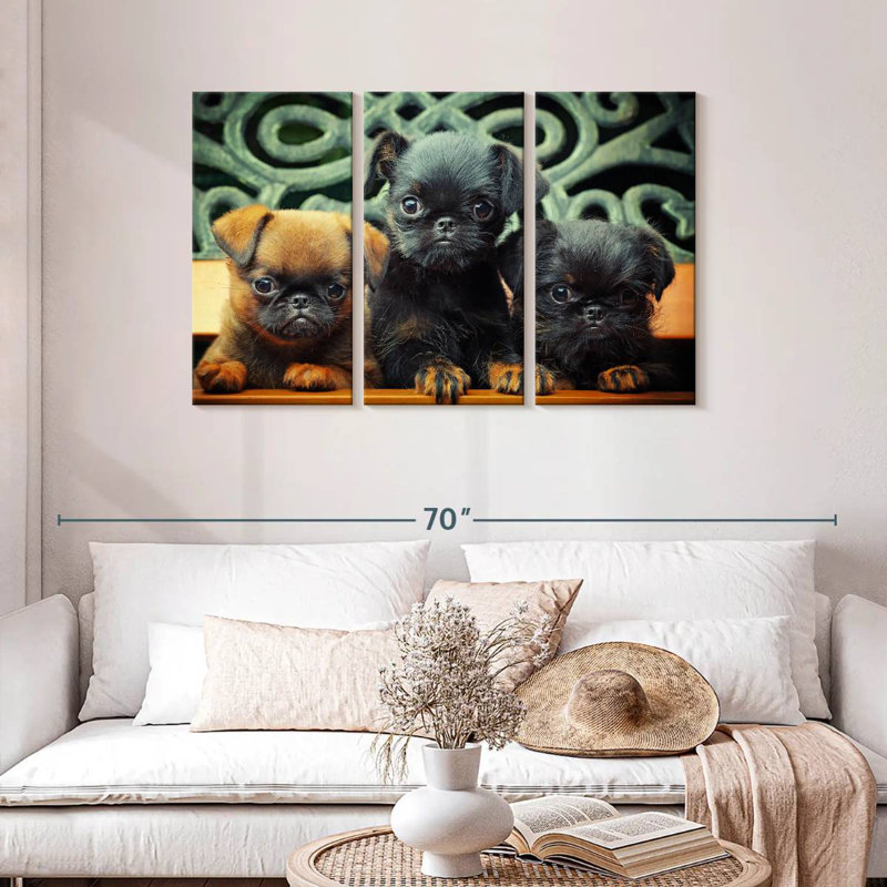 Griffon Puppies, 28" H x 45" W