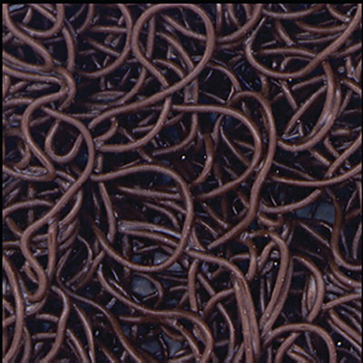 Tapis d'entrée Kaetzel