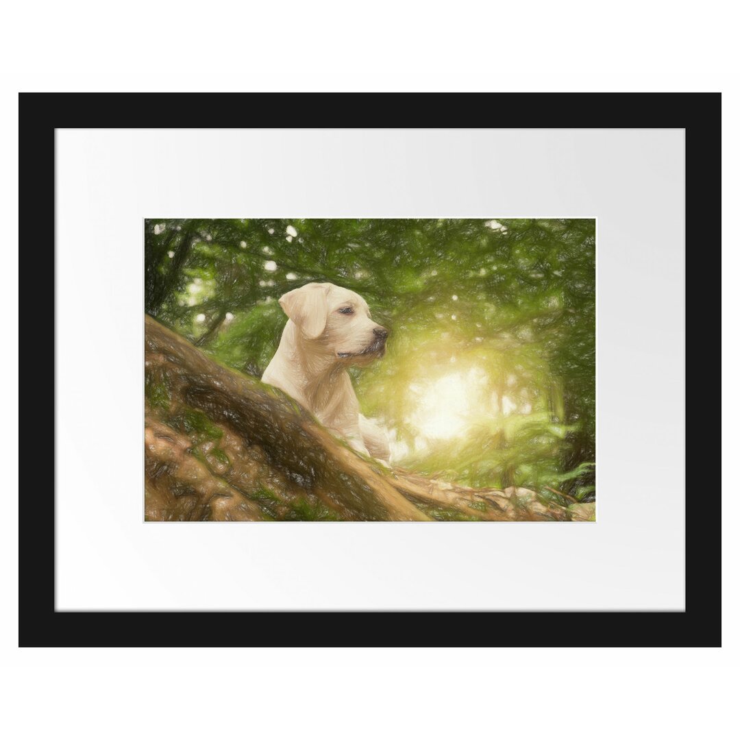 Gerahmtes Poster Labrador Welpe im Wald