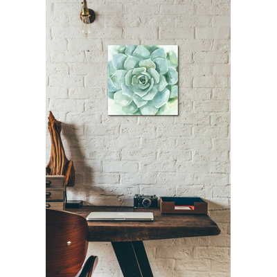Art mural en verre acrylique épique «Verdant Succulent I» par Victoria Borges, 12 po x 12 po