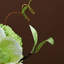 Simulated Flower Arrangement Decoration