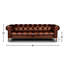Gaga Sofa-72459502-72461509