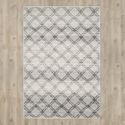 Muniz Performance Geometric Rug