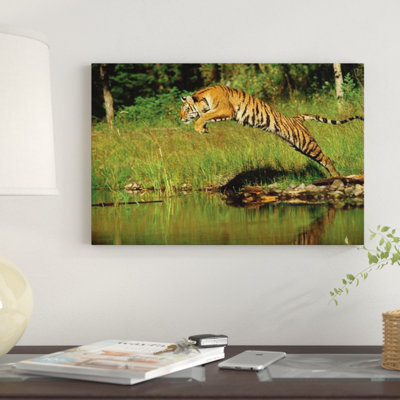 " Siberian Tiger Leaping Across River, Asia " Color Photography Print