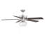Ventilateur de plafond standard à 5 pales de 52 po avec chaîne de traction et ensemble d'éclairage Donovan Inola-291535170