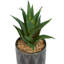 Feuillage artificiel en plastique Cole & Grey