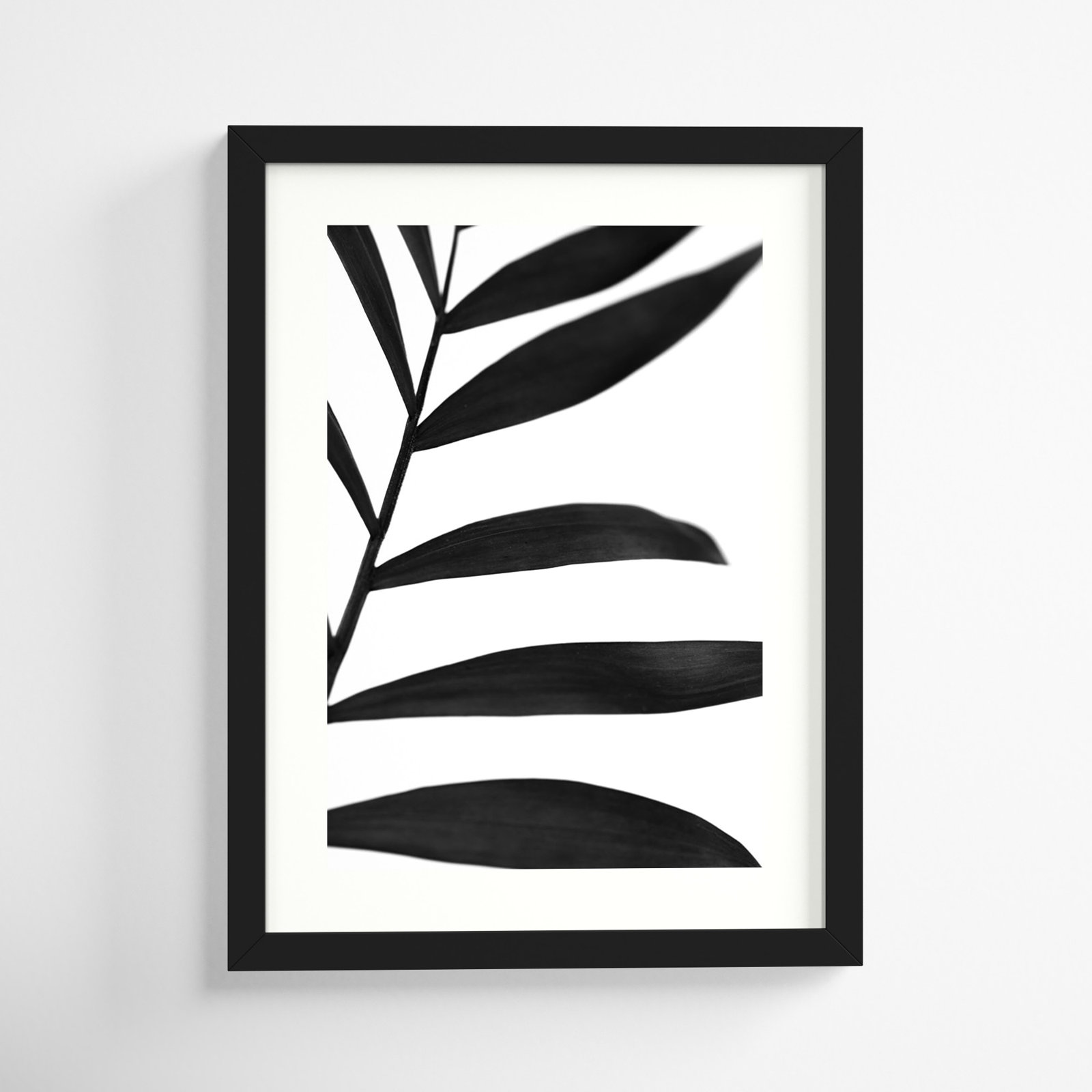 Black Palms V by W. Stramel, 20" H x 15" W, Black Framed Paper