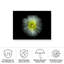 «Ologia »sur toile-98043825