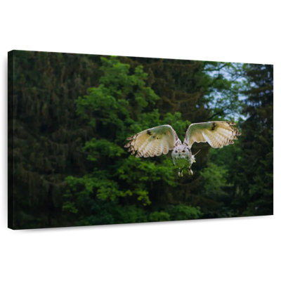 Brampt Flying Forest Owl