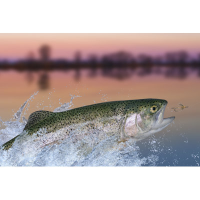 Grandy Fish - Wrapped Canvas Print