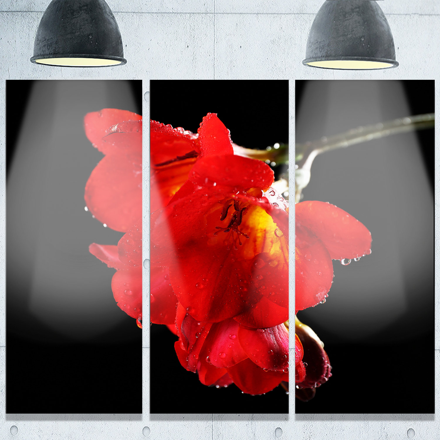 DesignArt 'Freesia Flower on Black Background' 3 Piece Photographic