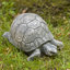 Tortoise Garden Statue