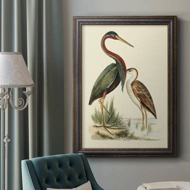 GlobalDesigns Water Birds III Framed On Paper Print