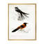 Oiseau rétro II - peinture sur toile-59814149-59814151