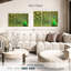 Brampt exhibant des plumes de paon-108000048