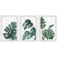Palmera blanc triptyque-63364897