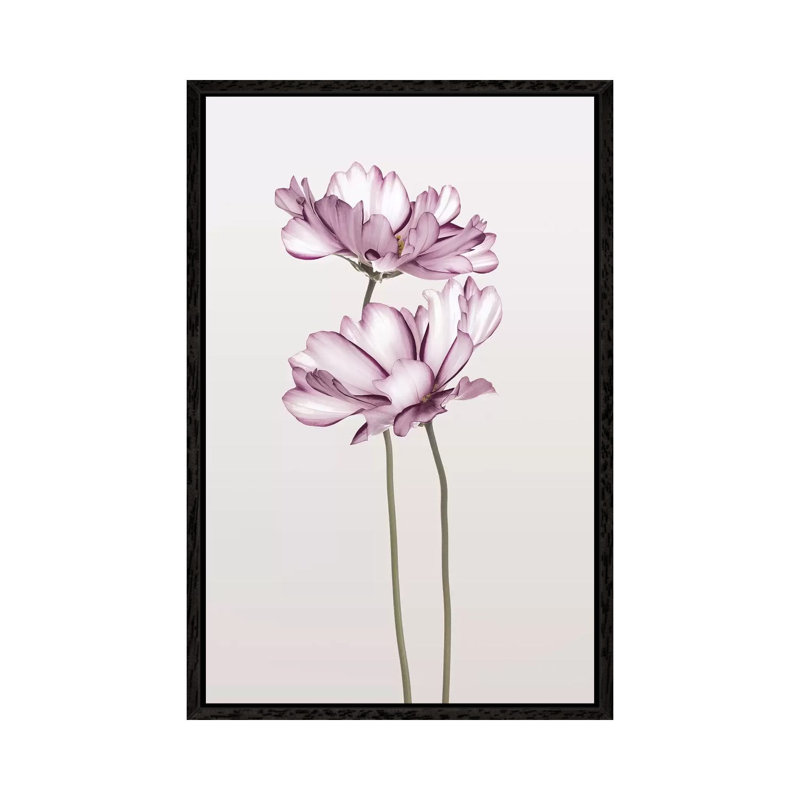 Cosmos II - Print on Canvas, Black Framed, 101.6cm H x 66.04cm W x 3.81cm D