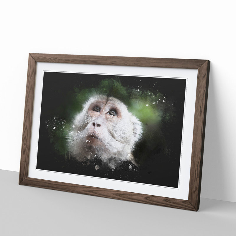 Macaque Monkey - Picture Frame Graphic Art, Walnut Framed, 27cm H x 36cm W x 2cm D