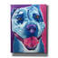 «Pit Bull - Merle» par Dawg Painter-737109958