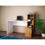 Bureau Lumpkins