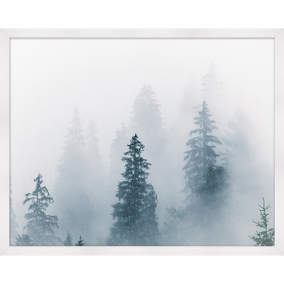 Misty Morning Hike 4 Print