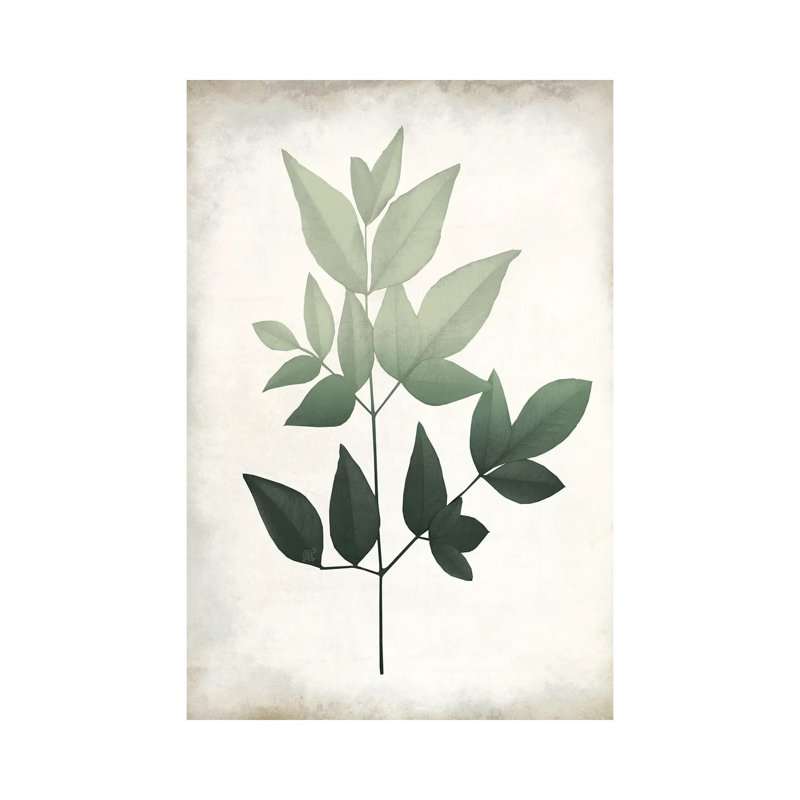 Vintage Botanical Greens II 1 Piece Wrapped Canvas Painting, 101.6 cm H x 66.04 cm W
