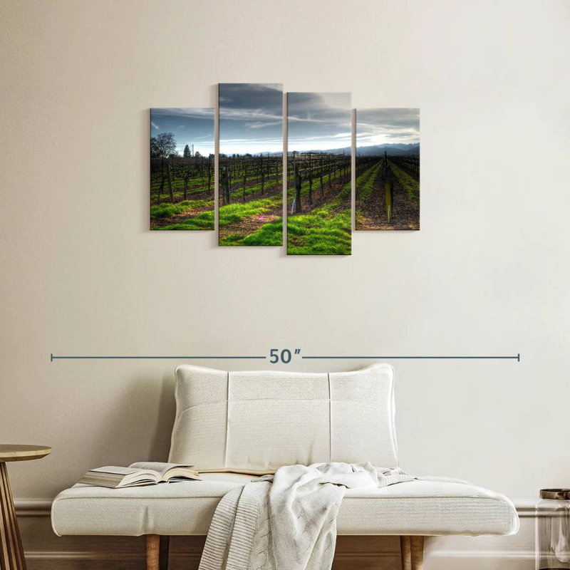 Alvord Napa Vineyard en janvier, H 22 po x l 36 po