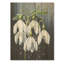 «Morning Hush Snowdrops In Silent White II» - Impressions sur neige-589716709