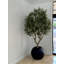 Artificial Olive Tree 30" Globe Planter-445470674