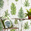 Fernery Wallpaper-50889001