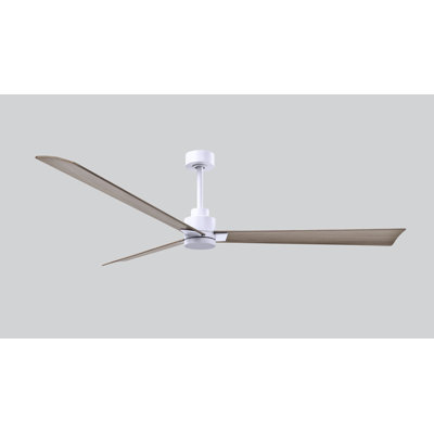 Alessandra 72'' Ceiling Fan