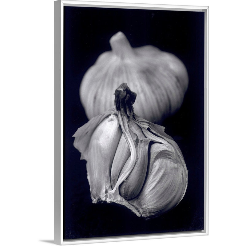 Ail par Didier Gaillard - reproduction sur toile, Cadre blanc, H 26 po x l 18 po x P 1,75 po