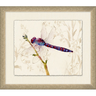 Perched Dragonfly 3 Painting