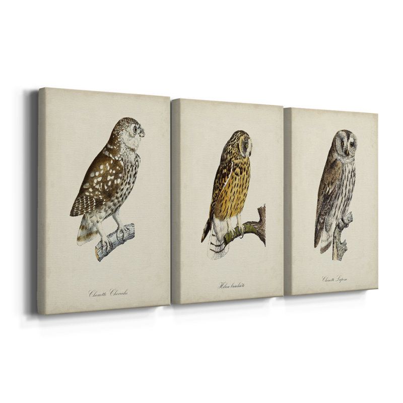 French Owls I - Toile tendue avec châssis sur mesure - 3 pièces, H 12 po x l 24 po