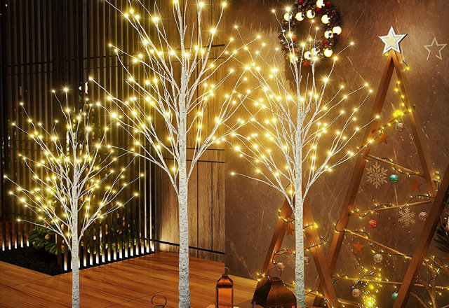 Find Your Perfect Holiday Lighting