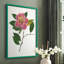Reproduction encadrée pressée Camellia II - bois massif-309909434-309909437